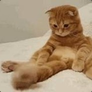 桀骜不驯丨执念