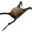 Fast headcrab