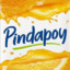 PindaPoy