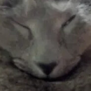 meow Meow