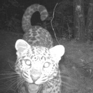 кошмар на ул. шмар