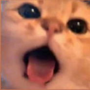 Świnkaaa ︻芫=一