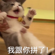 小雨不想长胖胖