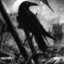 Raven