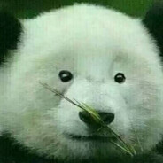 送你一朵解语花