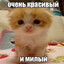 волоколамск 2005