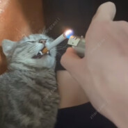 越狱之无间地狱