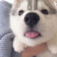 轩