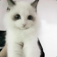 超级厉害会武功的人