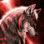 DarkWolf2013