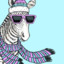 KoldZebra