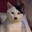 Kitler
