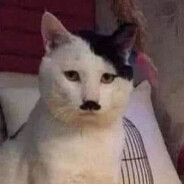 Kitler