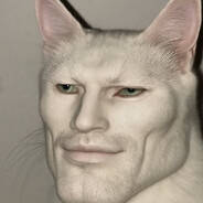 El Gato