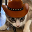 lustful_cowboy_79