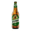 Żubr