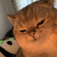 一个不爱说话的人