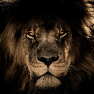 Real~LION