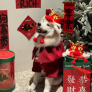 亦有风雨亦有情