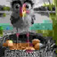 blender