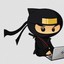 computer ninja