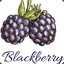 blackberry77