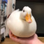 theduck219