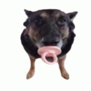 luufa