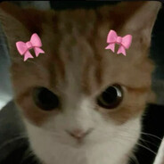 melin4