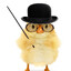 Professor Chicken
