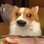 大弟