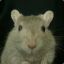 Richard Gere&#039;s Gerbil