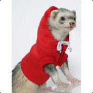 Kamikaze Ferret²