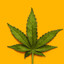 Weed´