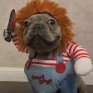 Chucky ¯\_(ツ)_/¯