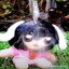 zryuek