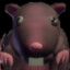 Elopypy