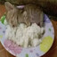 yupanki