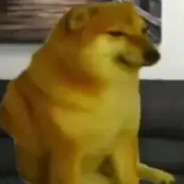 其实纸片人挺好