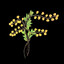 mimosasys