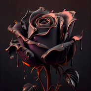 Black Rose