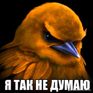 -RavKa avatar