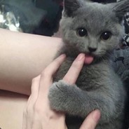 :D