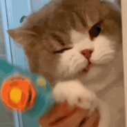 合理与可能性之兽