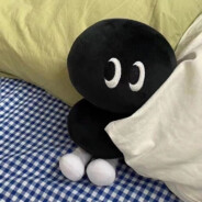 无敌可爱小浣熊