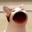 PeaBrain