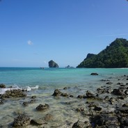 【流氓军团】81.db