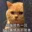 A 橘猫丶