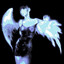 RexNoctis