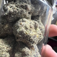 Jar4ik avatar
